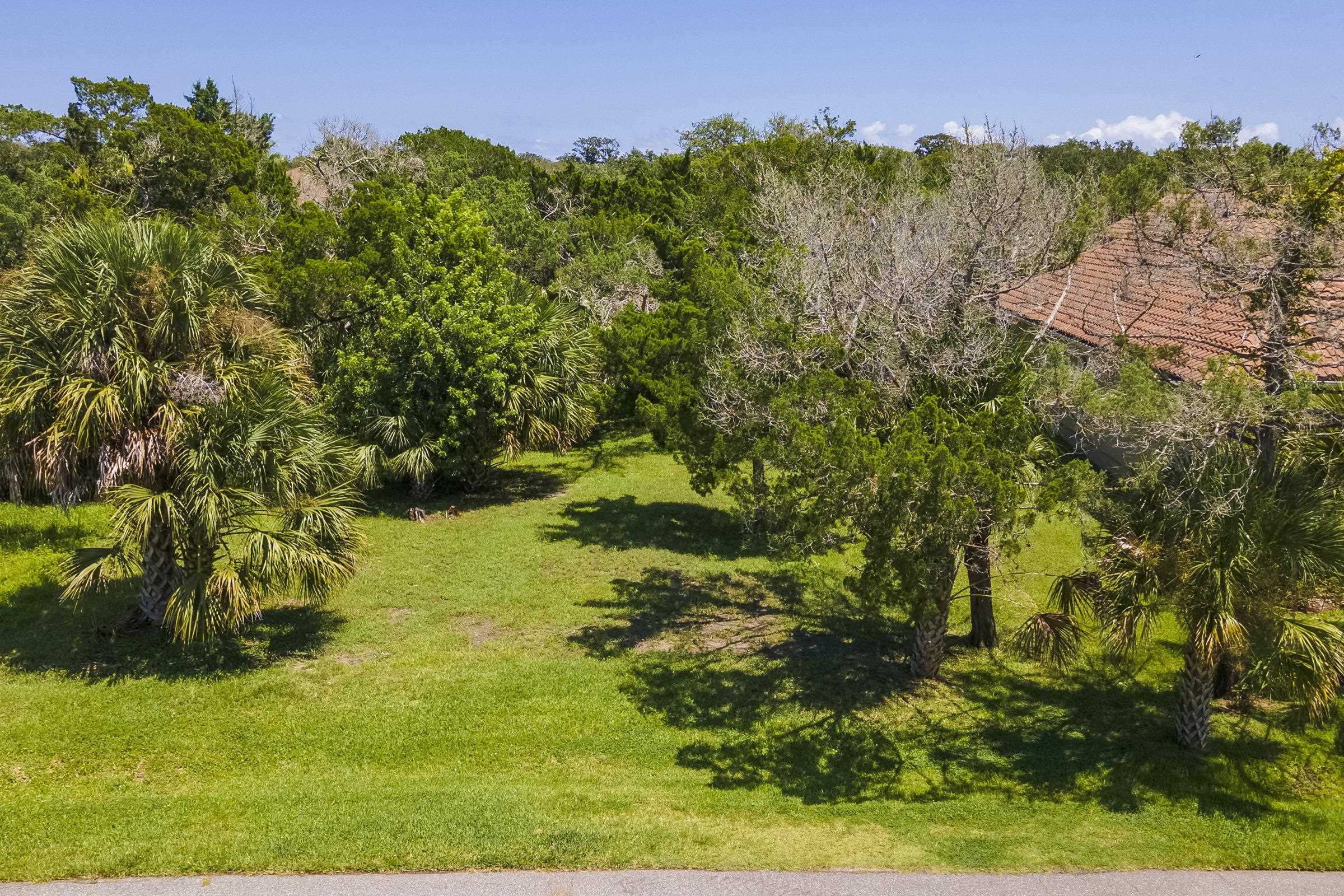 113 Spoonbill Point Court St. Augustine, FL 32080 - Photo 2 of 52 a view of a yard