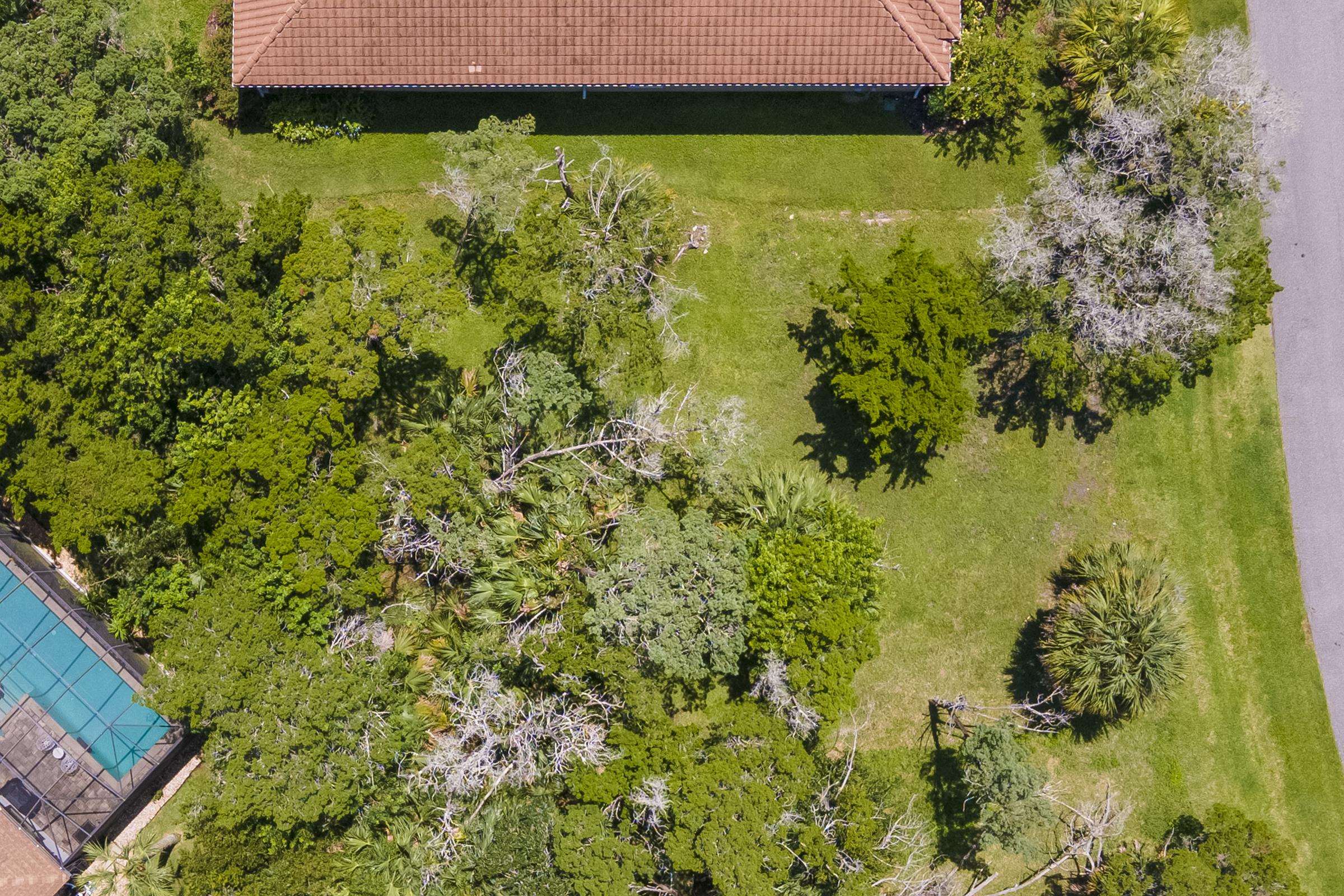 113 Spoonbill Point Court St. Augustine, FL 32080 - Photo 21 of 52 a view of a garden