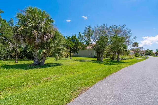 a view of a park with large trees