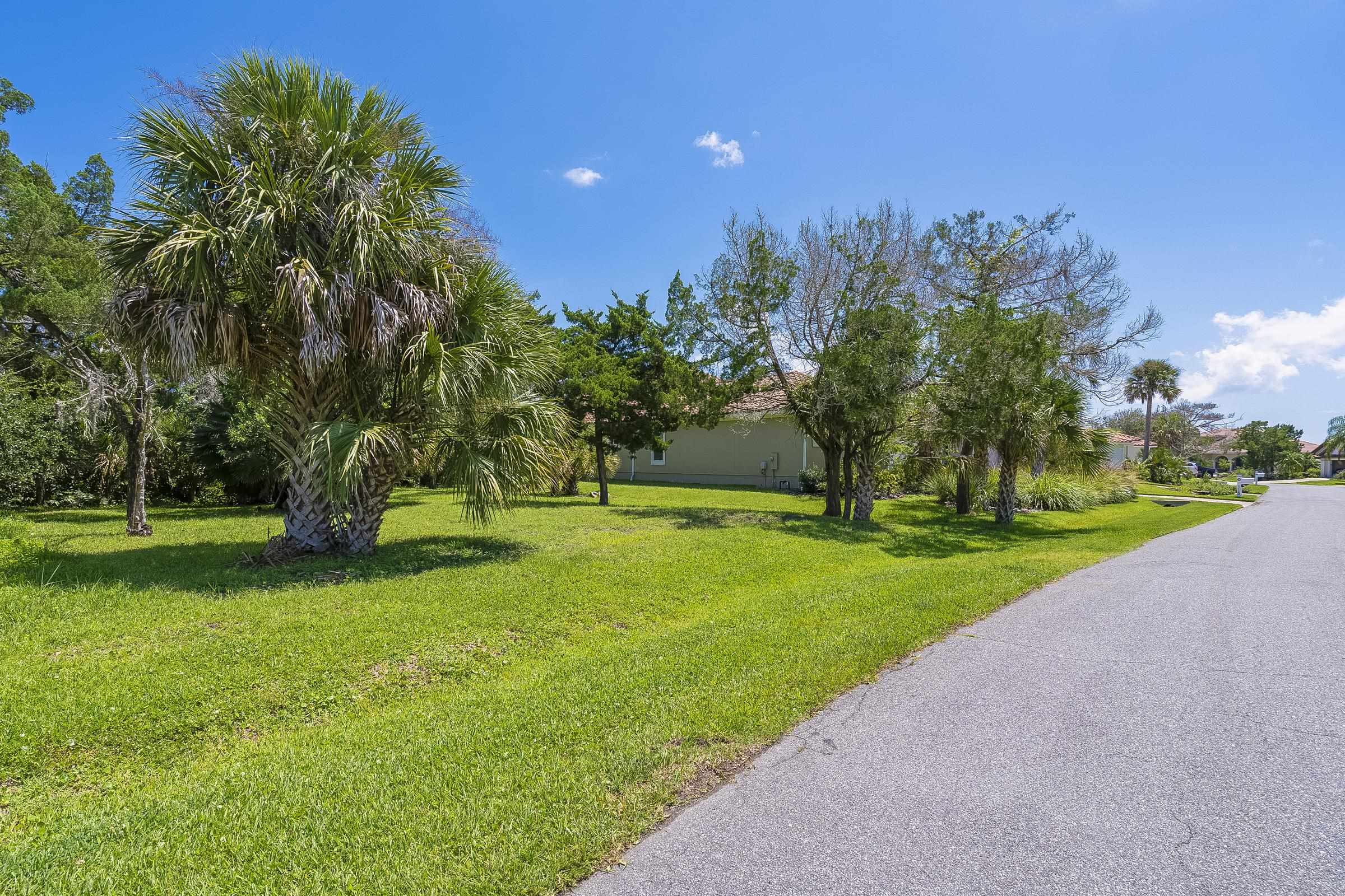 113 Spoonbill Point Court St. Augustine, FL 32080 - Photo 22 of 52 a view of a park with large trees