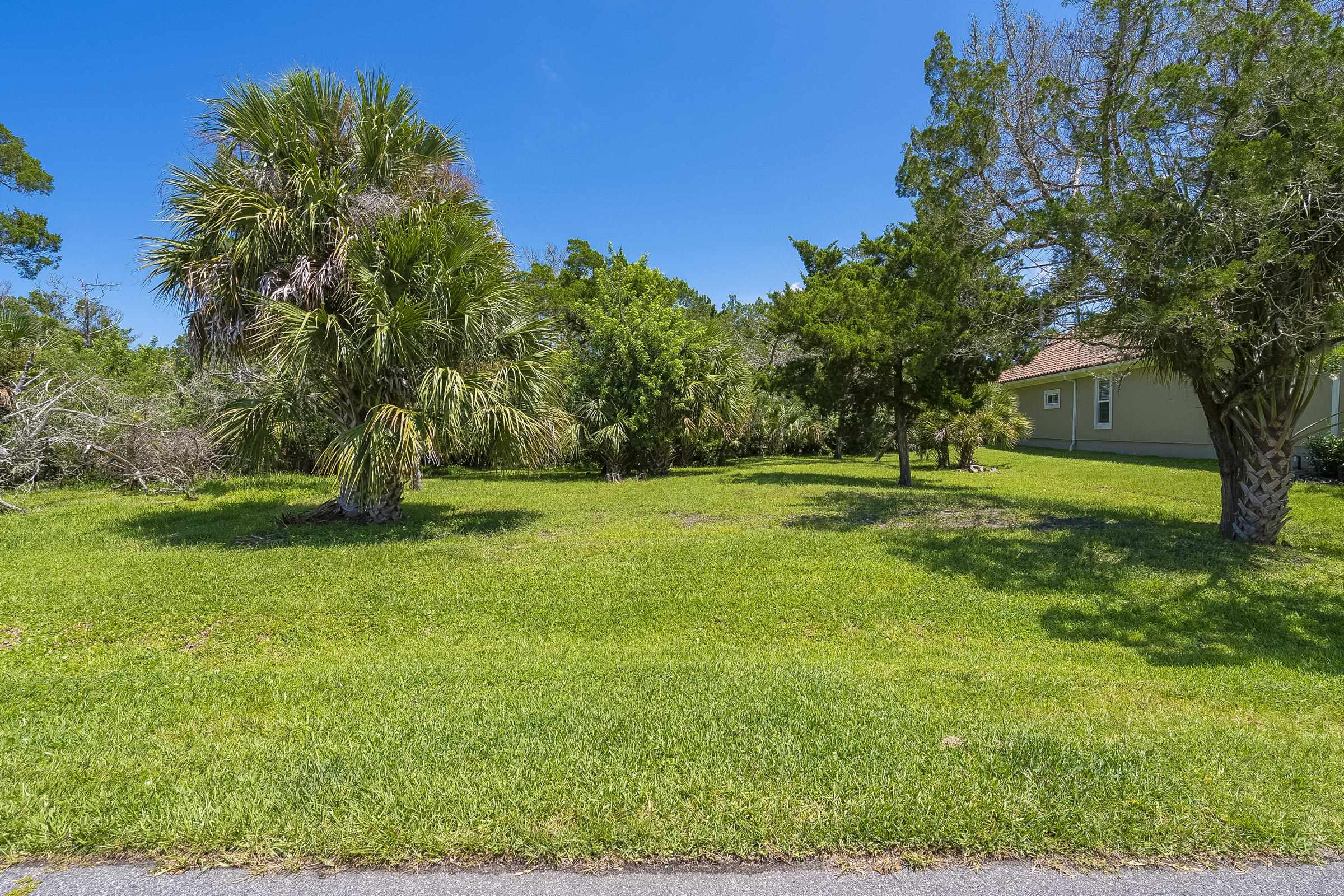 113 Spoonbill Point Court St. Augustine, FL 32080 - Photo 24 of 52 a view of a garden with a house