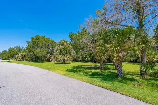 a view of a field with a tree