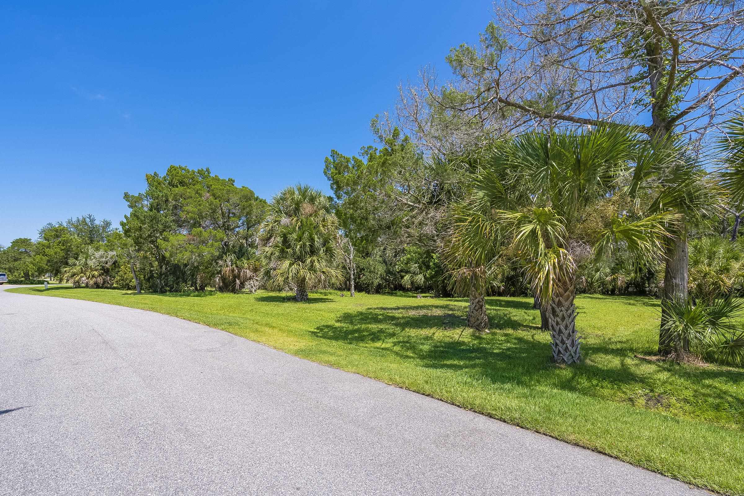 113 Spoonbill Point Court St. Augustine, FL 32080 - Photo 25 of 52 a view of a field with a tree