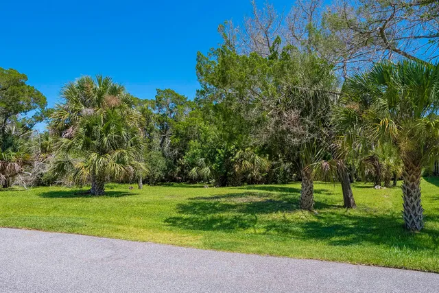 a view of a park with large trees