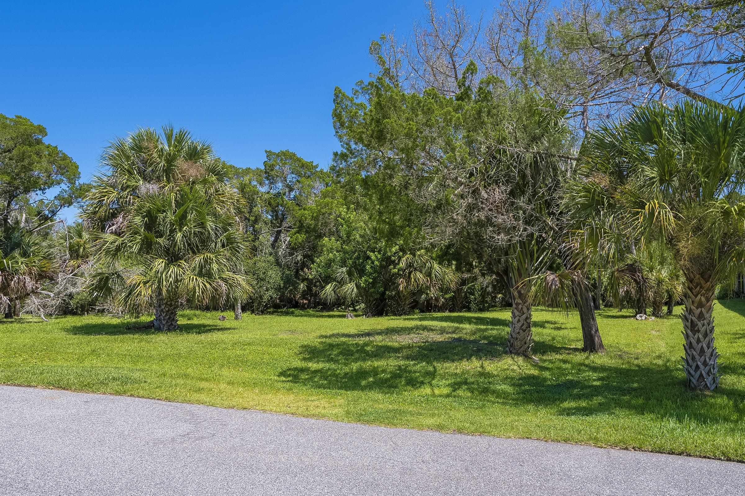 113 Spoonbill Point Court St. Augustine, FL 32080 - Photo 26 of 52 a view of a park with large trees