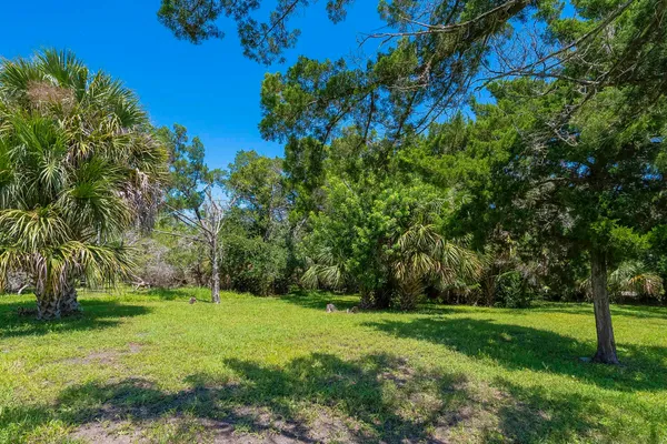 a view of green field with trees