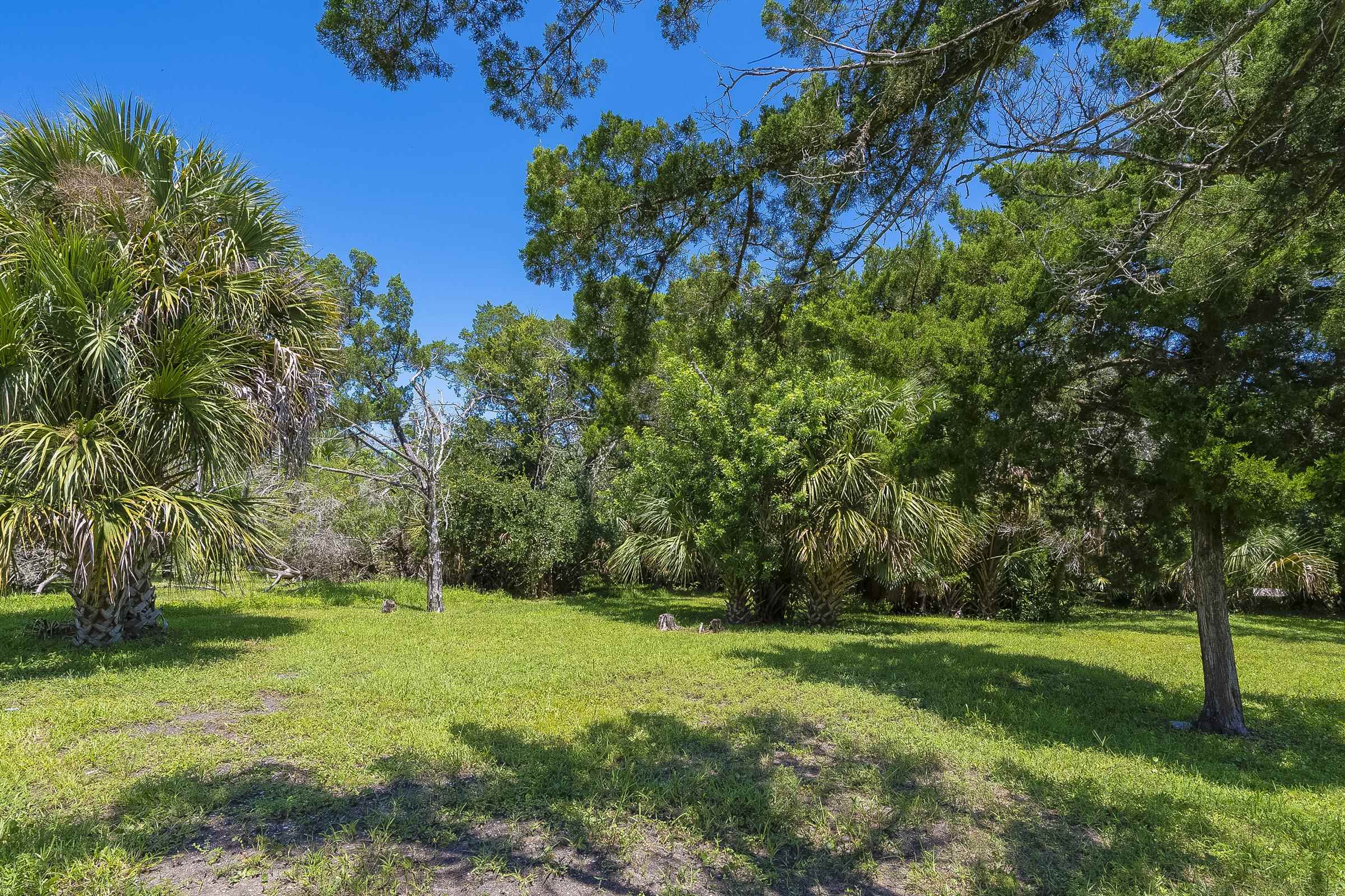 113 Spoonbill Point Court St. Augustine, FL 32080 - Photo 27 of 52 a view of green field with trees