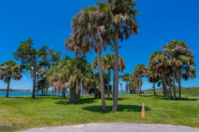 a view of a park with palm trees