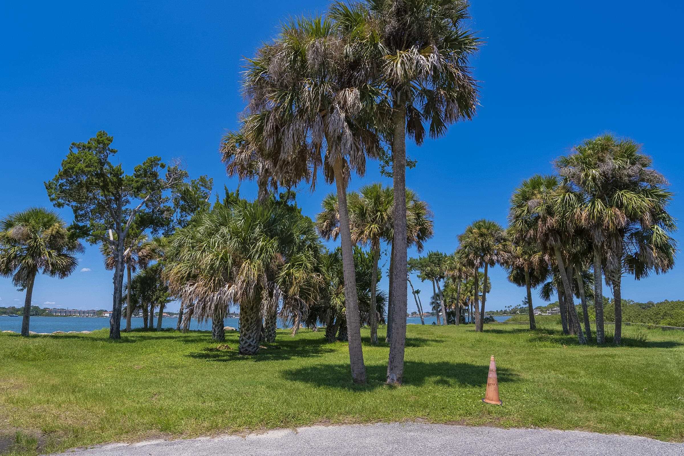113 Spoonbill Point Court St. Augustine, FL 32080 - Photo 32 of 52 a view of a park with palm trees
