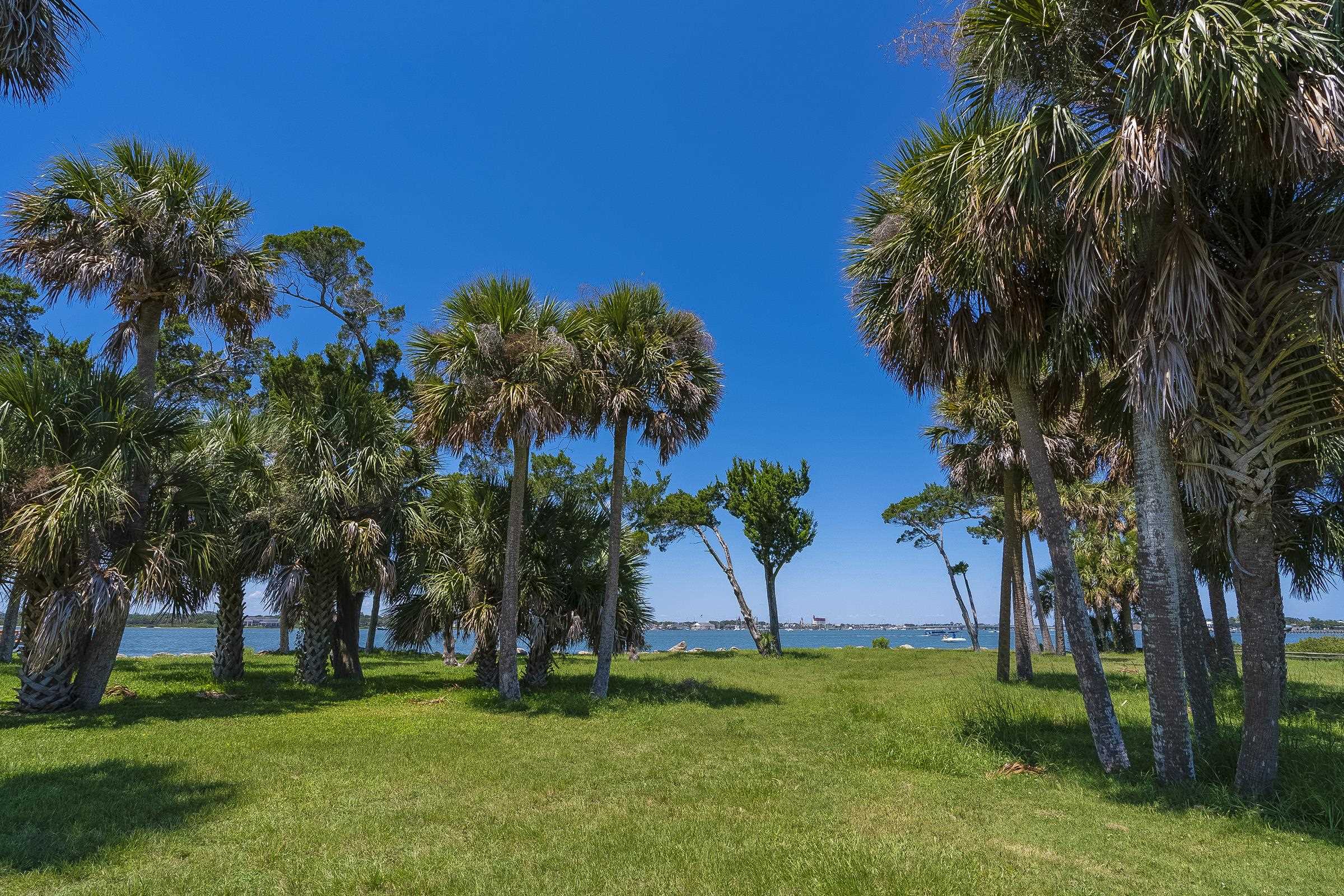 113 Spoonbill Point Court St. Augustine, FL 32080 - Photo 33 of 52 a garden with palm trees