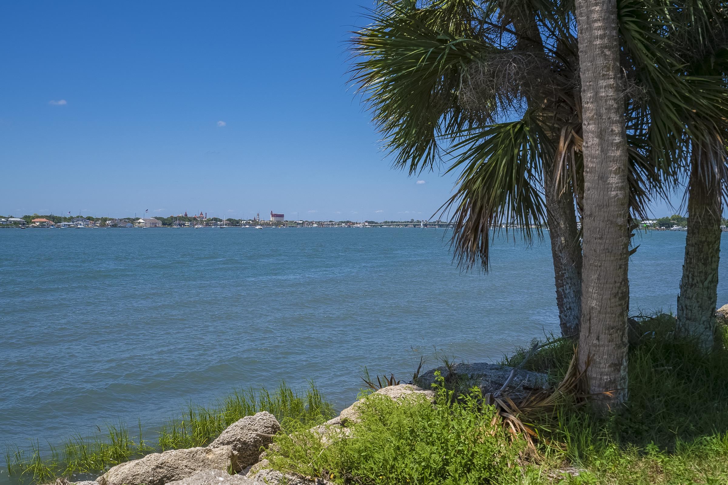 113 Spoonbill Point Court St. Augustine, FL 32080 - Photo 37 of 52 a view of a lake