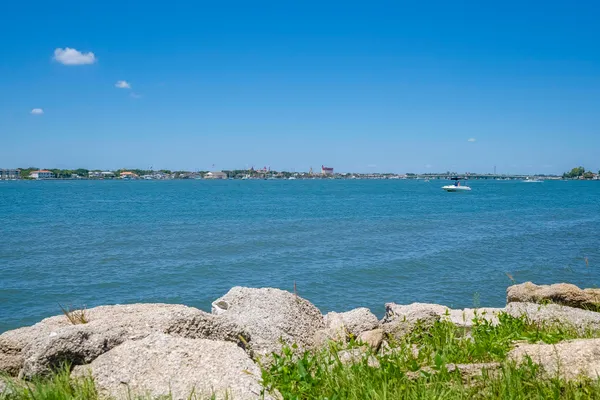 a view of a garden with a tree