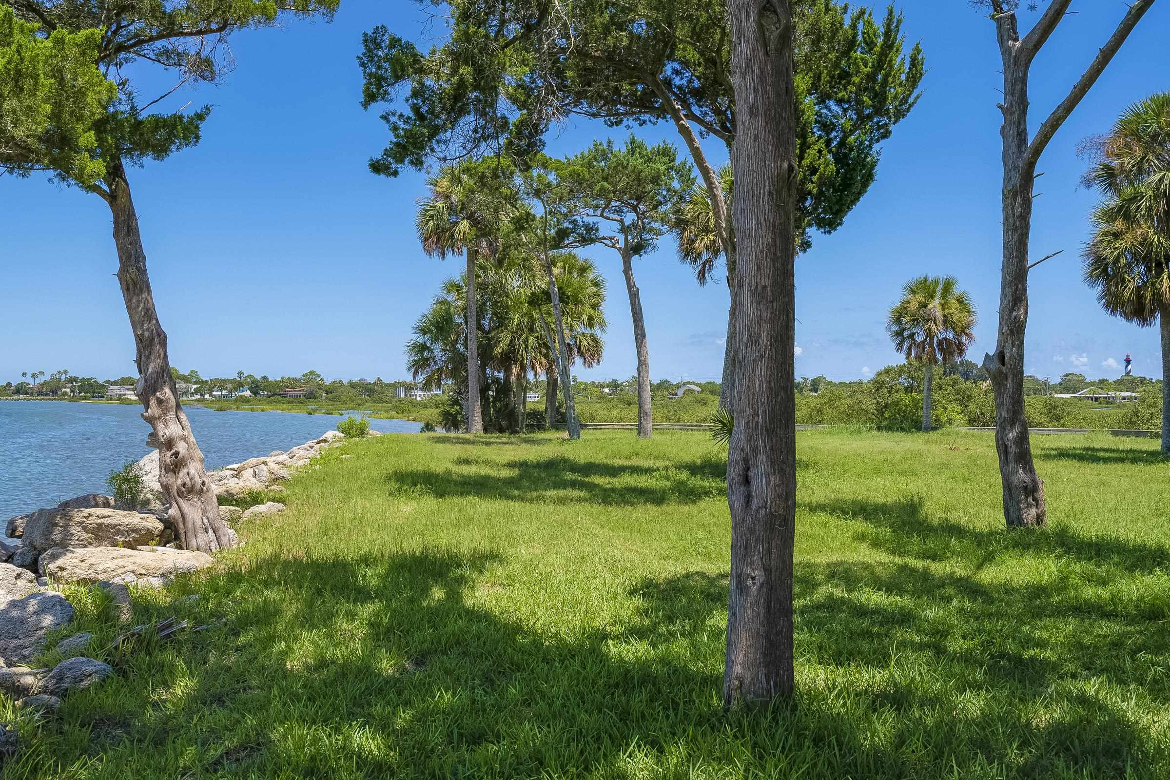 113 Spoonbill Point Court St. Augustine, FL 32080 - Photo 40 of 52 a view of a garden with a tree