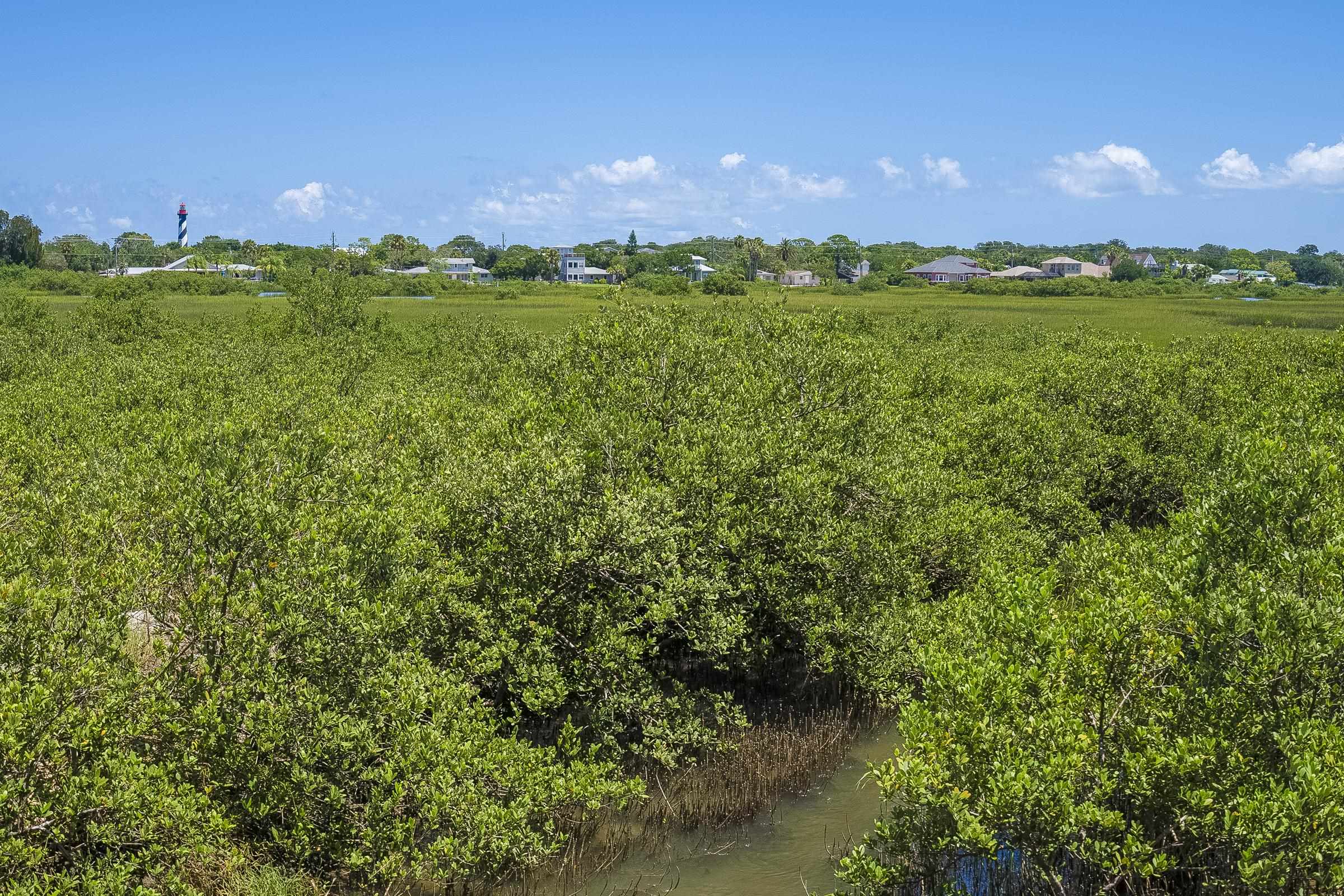 113 Spoonbill Point Court St. Augustine, FL 32080 - Photo 41 of 52