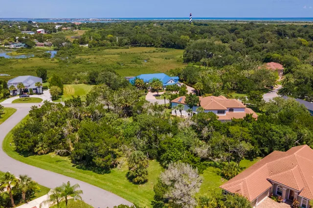 an aerial view of residential houses with outdoor space and trees