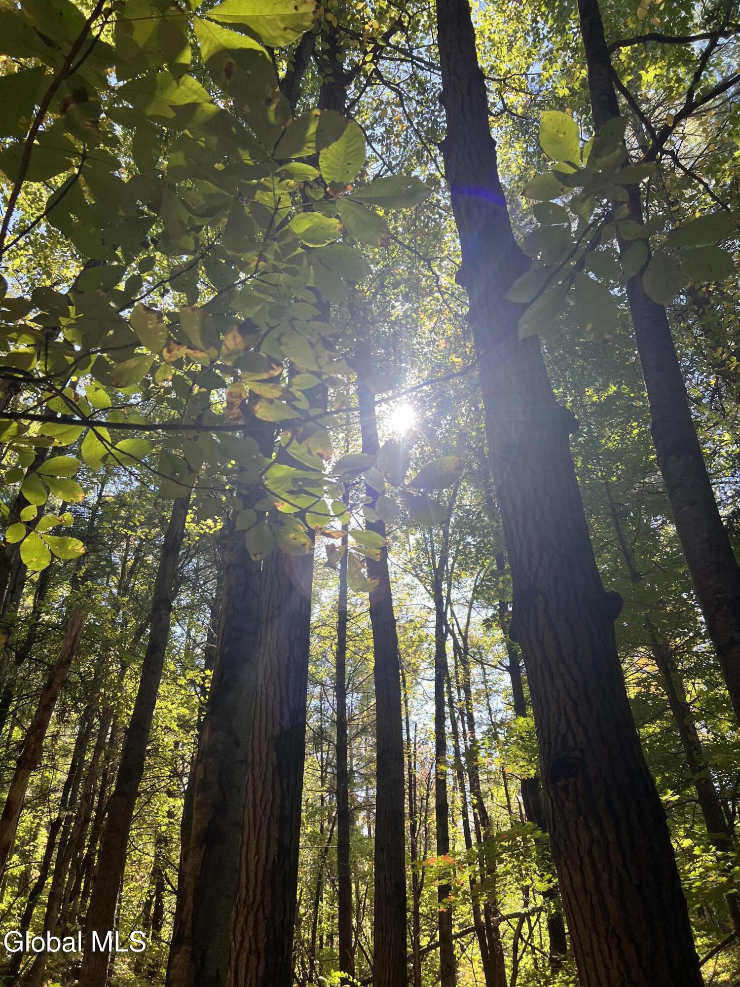 87 Bulson Road Brunswick, NY 12180 - Photo 3 of 7 IMG_7148