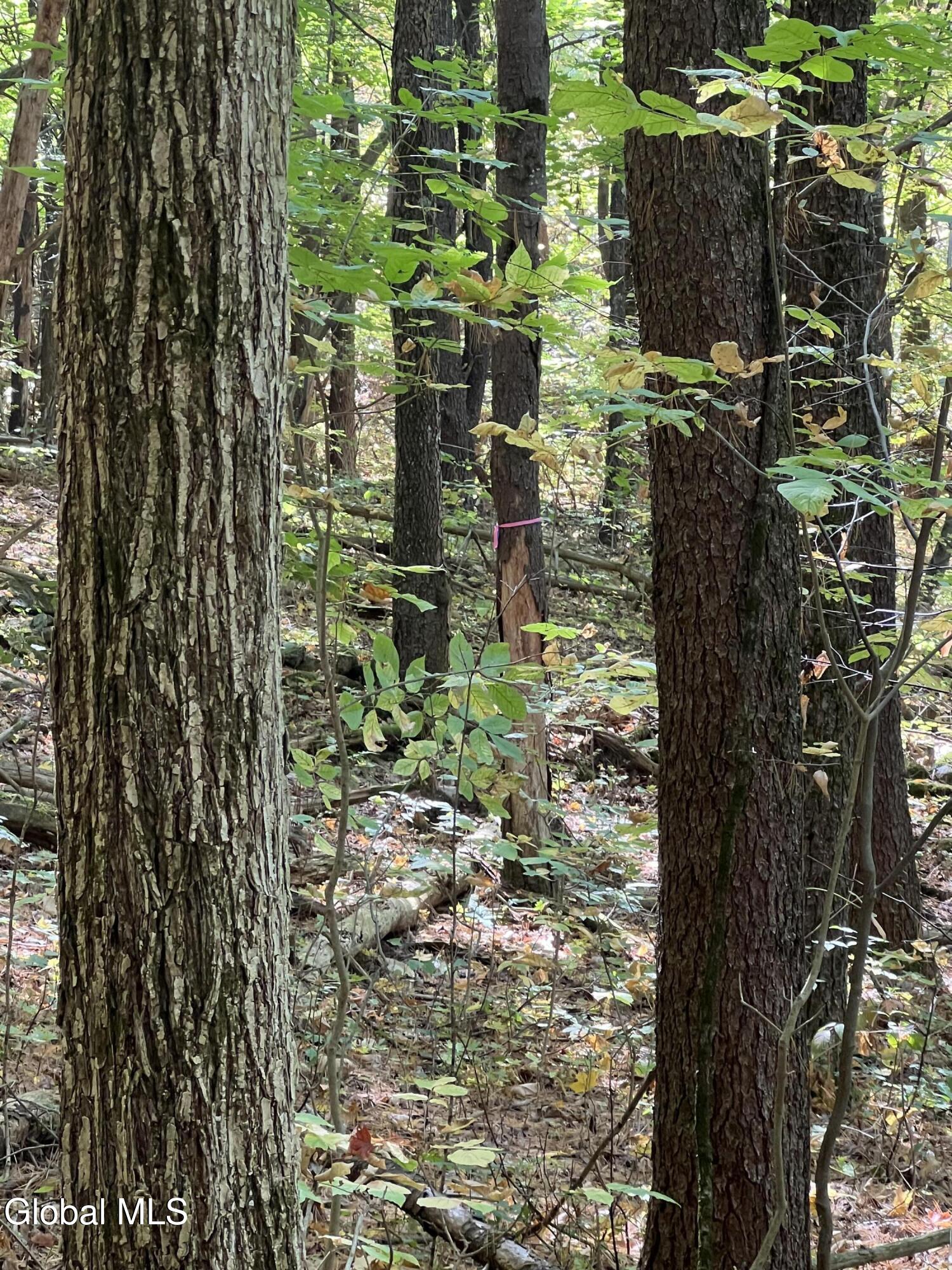 87 Bulson Road Brunswick, NY 12180 - Photo 5 of 7 IMG_7151