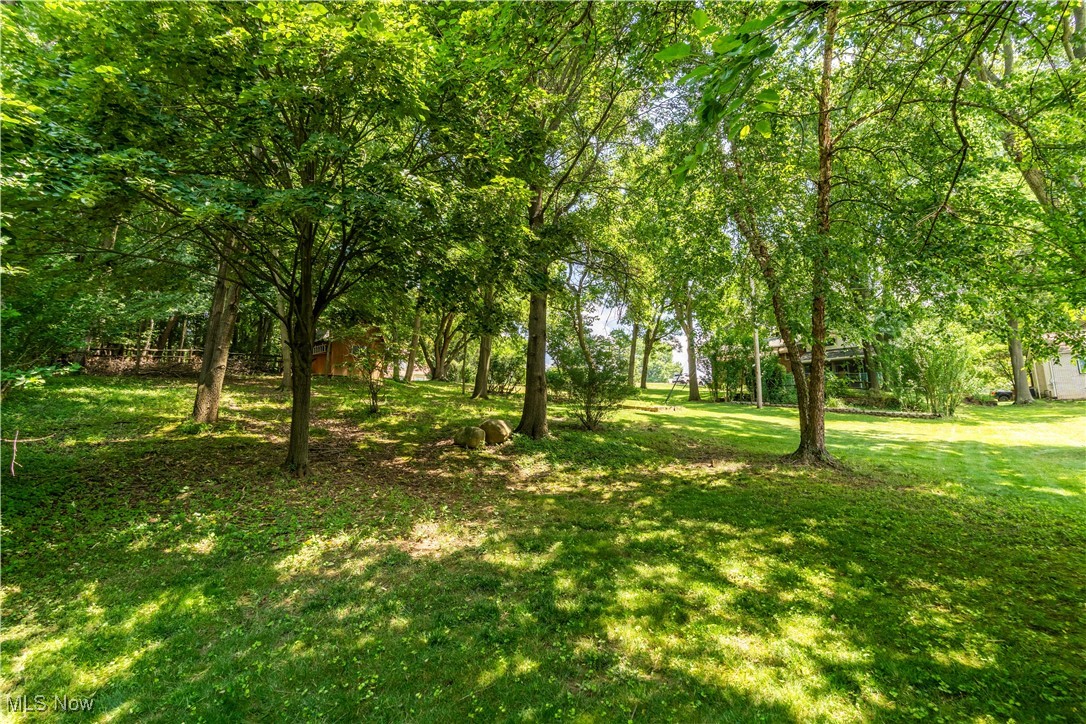 5535 Veldon Circle Northeast Canton, OH 44721 - Photo 39 of 41 Beautiful lot with trees.