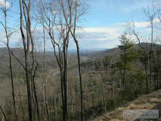 Tbn Tbd Purlear, NC 28665 - Photo 1 of 1 Gallery Image 1