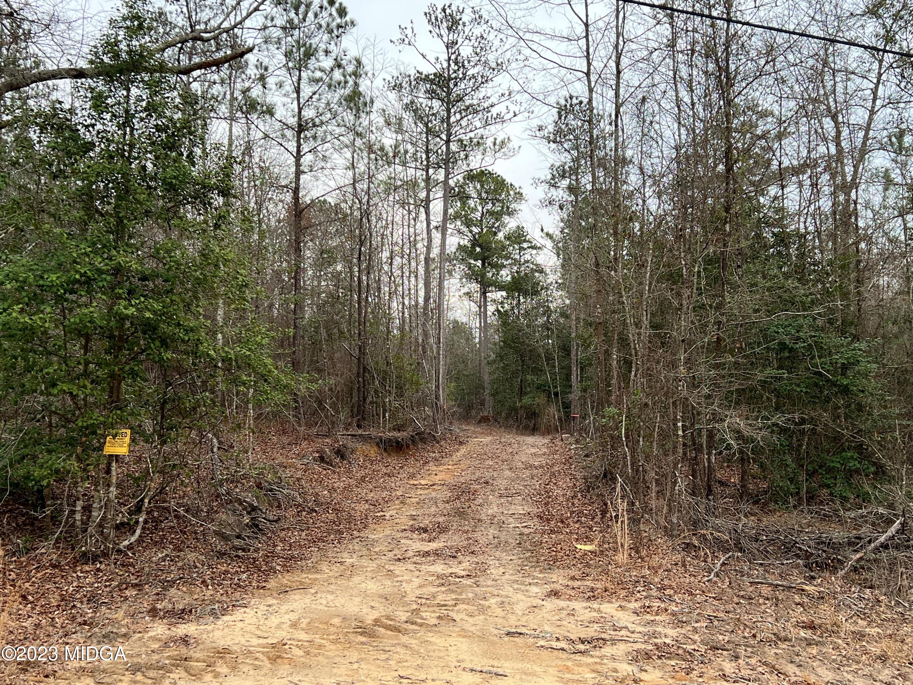 861 Walton Road Fort Valley, GA 31030 - Photo 1 of 4 a view of a forest with trees in the background
