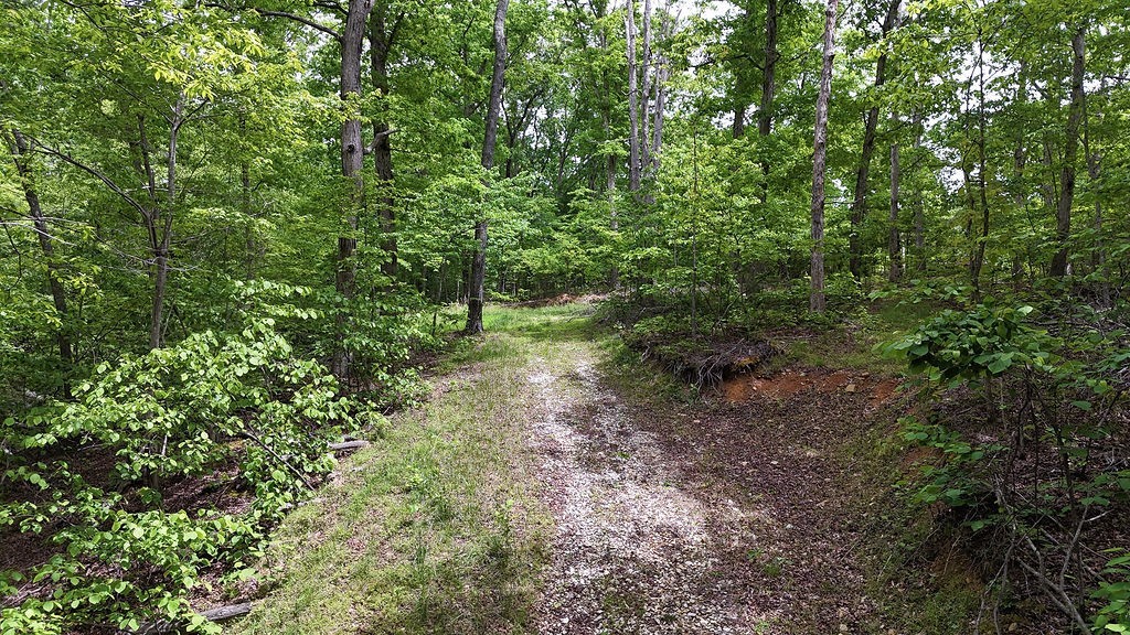 0 Billy Wynn Road Dickson, TN 37055 - Photo 16 of 44