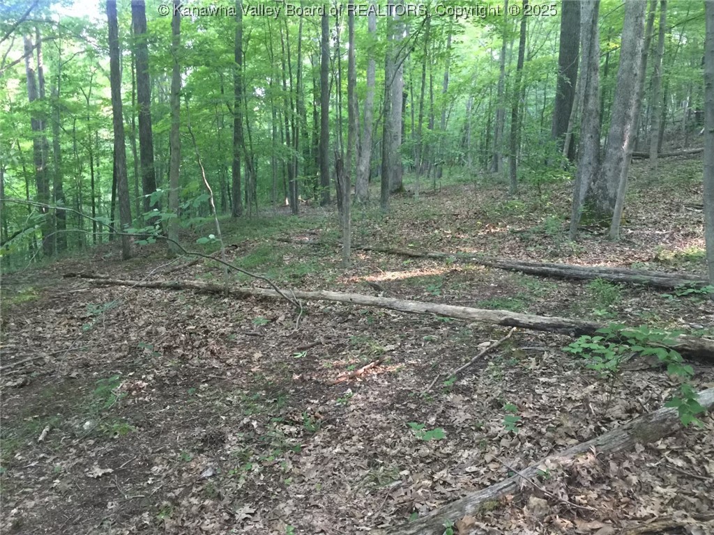 0 Fleshers Run Road Ravenswood, WV 26164 - Photo 6 of 8 Gallery Image 6