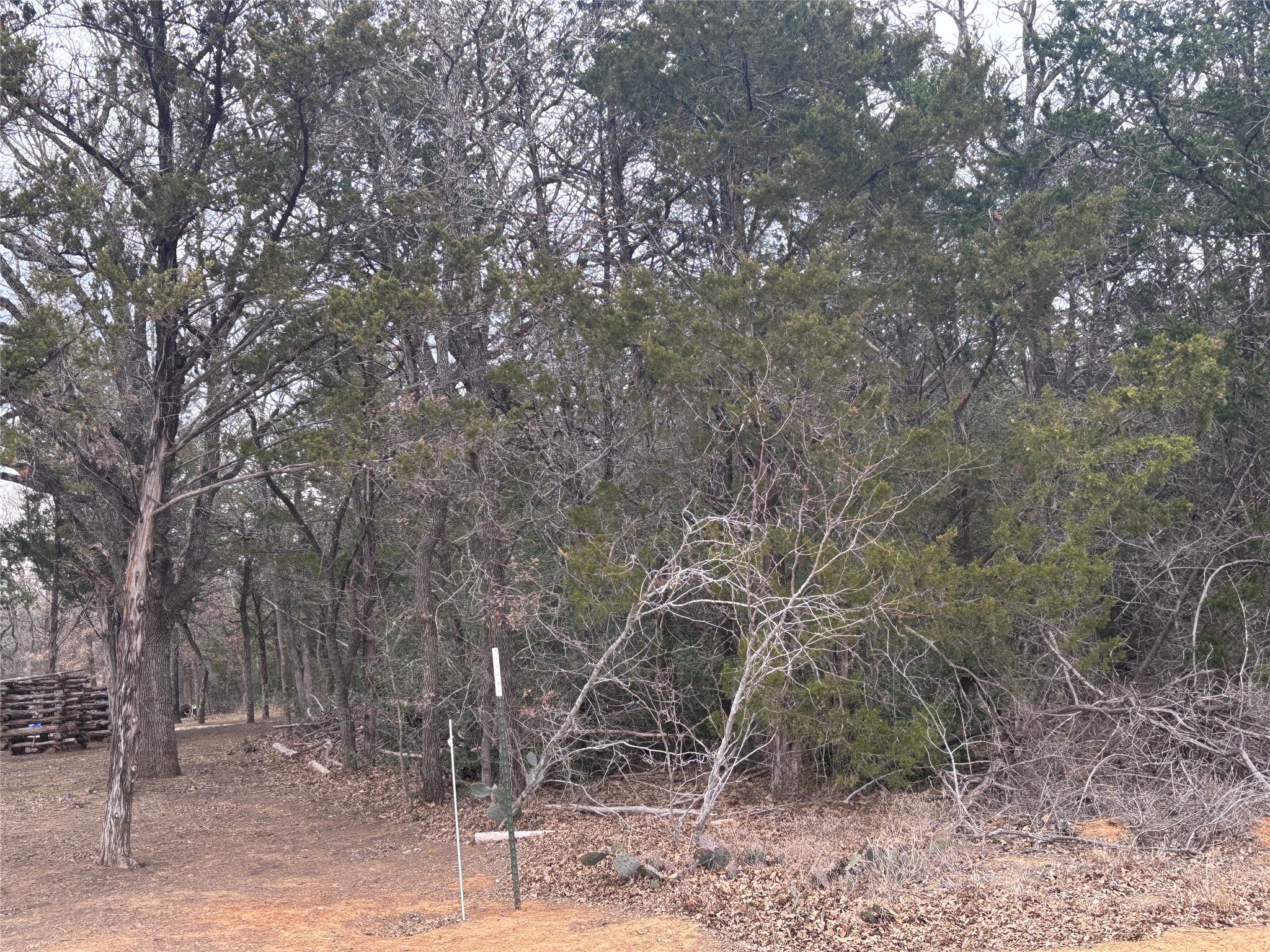 Tbd Pearson Road Dale, TX 78616 - Photo 6 of 7 a backyard of a house with lots of green space