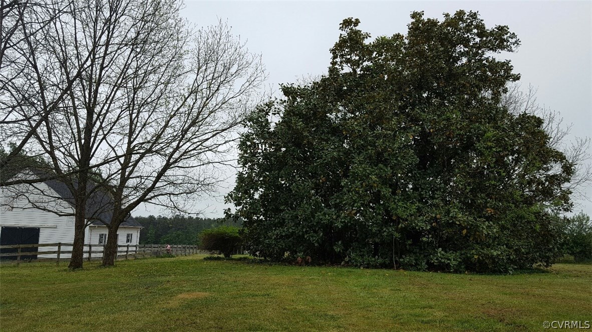 3170 Duke Road Powhatan, VA 23139 - Photo 19 of 27 Massive hardwoods and ancient magnolia tree - perf