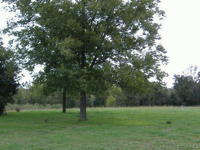 3170 Duke Road Powhatan, VA 23139 - Photo 26 of 27 Views of side yard