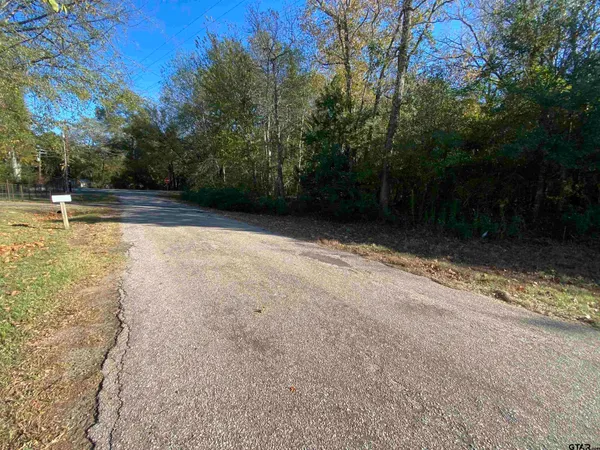 a view of backyard with green space