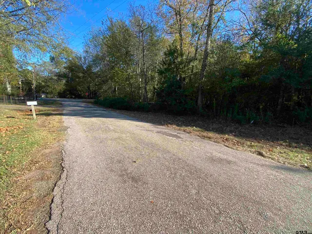 a view of backyard with green space