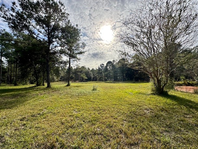 780 Hickory Hammock Road Carrabelle, FL 32322 - Photo 17 of 21 Gallery Image 17