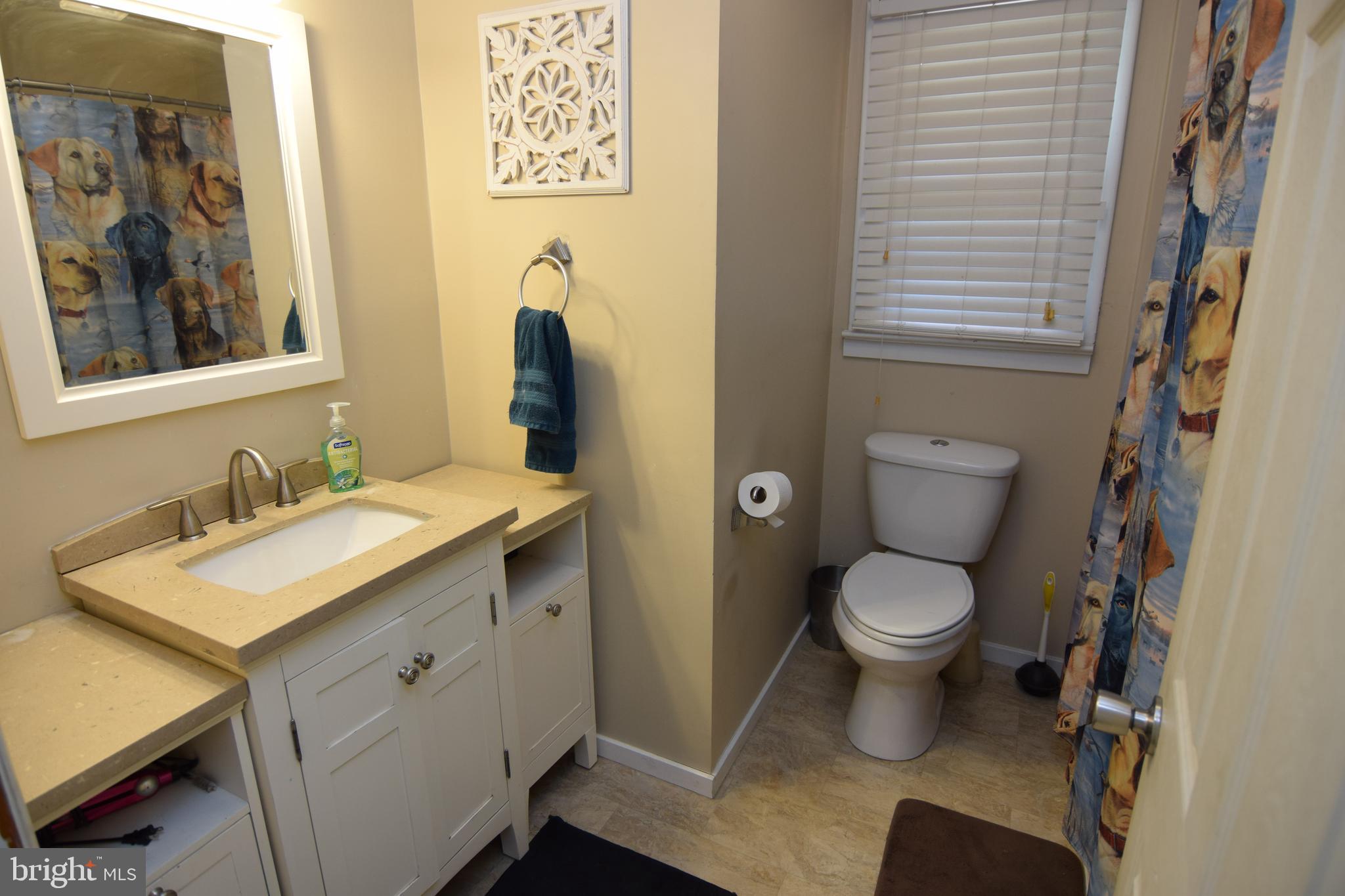 26866 Walker Road Seaford, DE 19973 - Photo 17 of 29