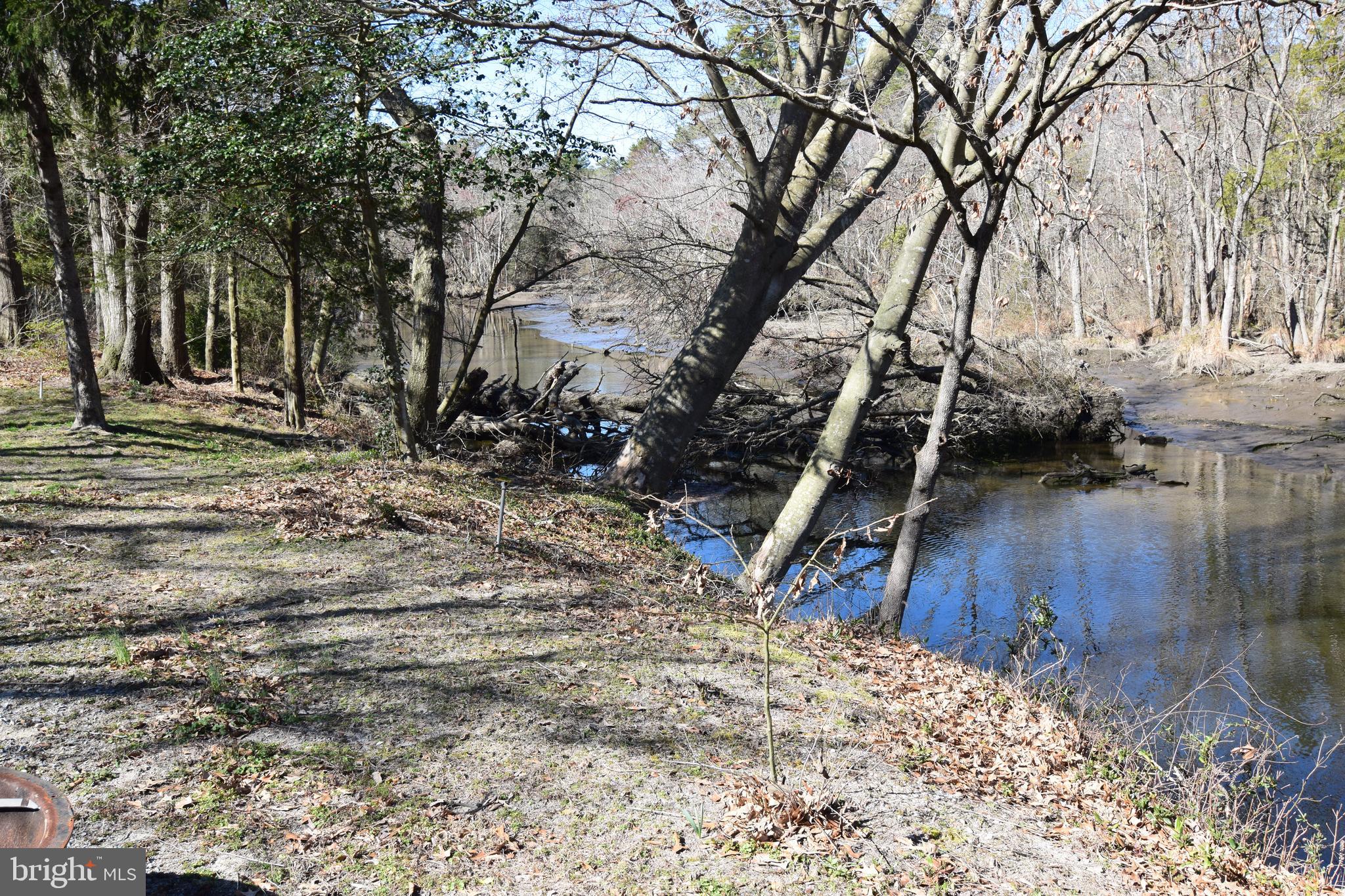 26866 Walker Road Seaford, DE 19973 - Photo 4 of 29