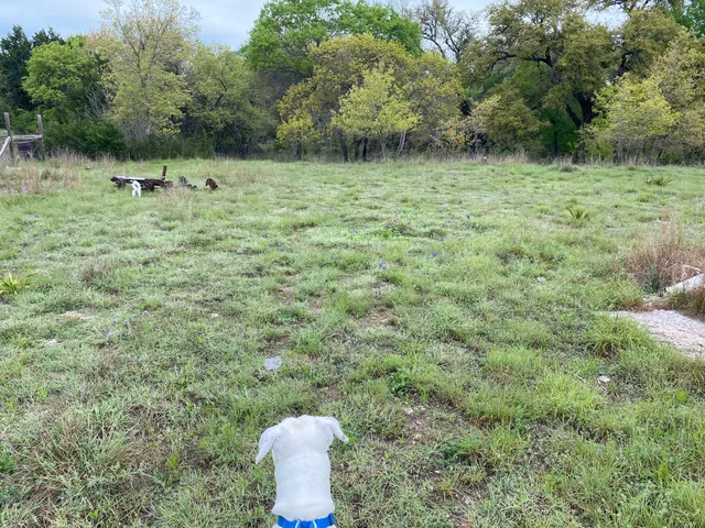 $130,000 | 175 West Bear Creek Road, Liberty Hill, TX 78642