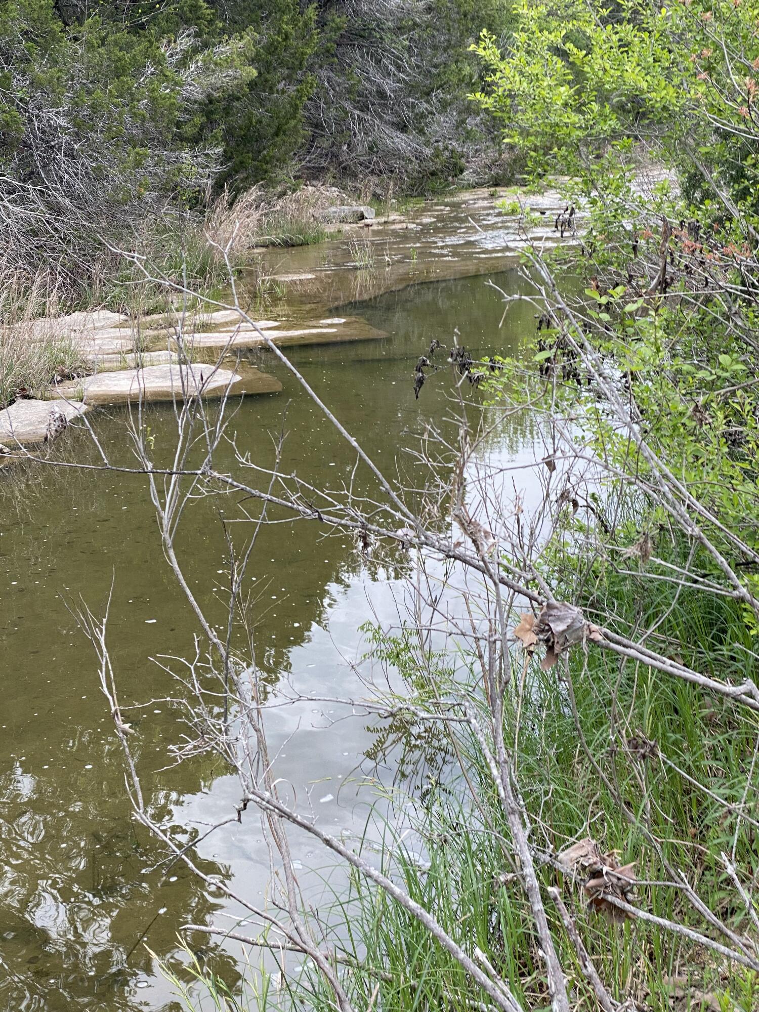 175 West Bear Creek Road Liberty Hill, TX 78642 - Photo 5 of 7 IMG_20260121_091613