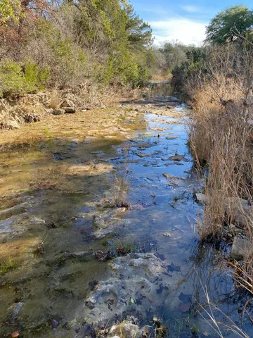 $130,000 | 175 West Bear Creek Road, Liberty Hill, TX 78642