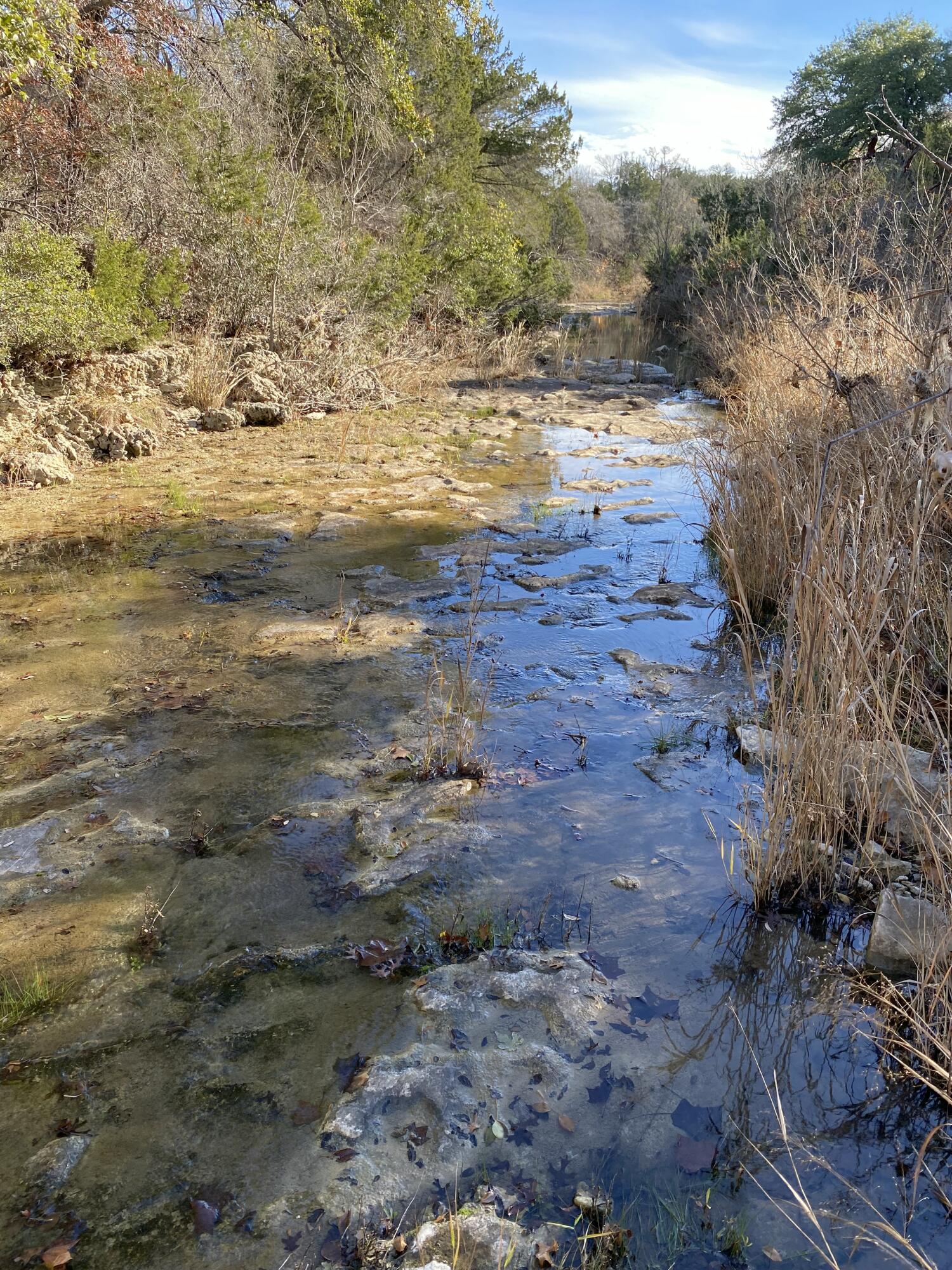 175 West Bear Creek Road Liberty Hill, TX 78642 - Photo 6 of 7 IMG_20260121_091652