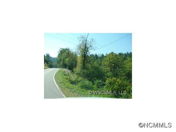 1188 Long Ridge Road Mars Hill, NC 28754 - Photo 3 of 3 Gallery Image 3