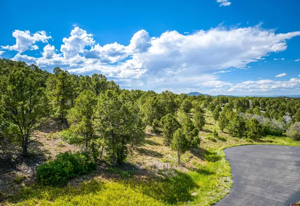 $110,000 | Lot 9 Pointe Escape Drive, Ridgway, CO 81432