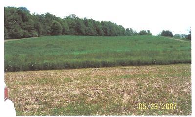 Cranberry Road Marcellus, MI 49067 - Photo 1 of 1 Primary Photo