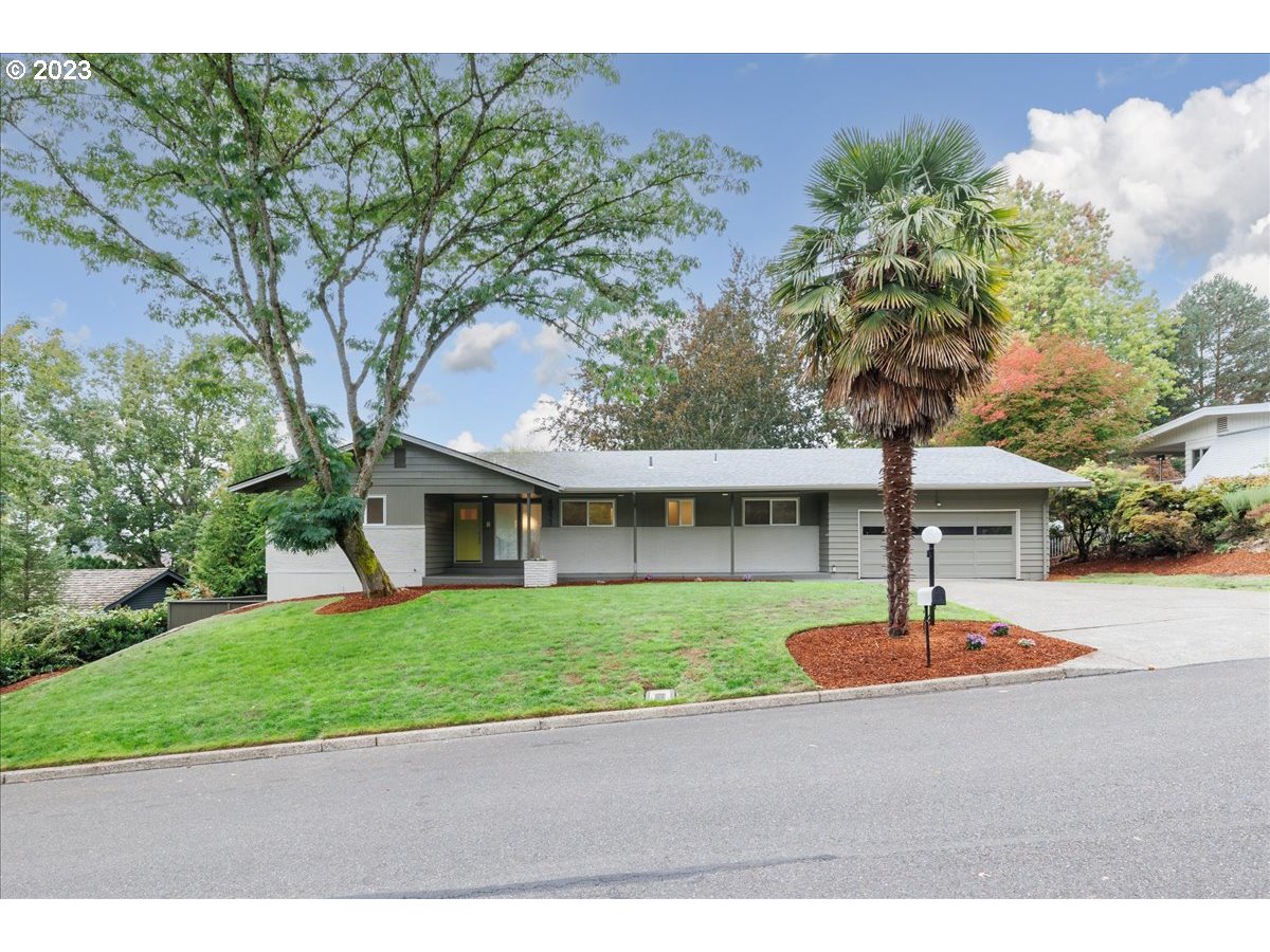 a house with a tree in front of it