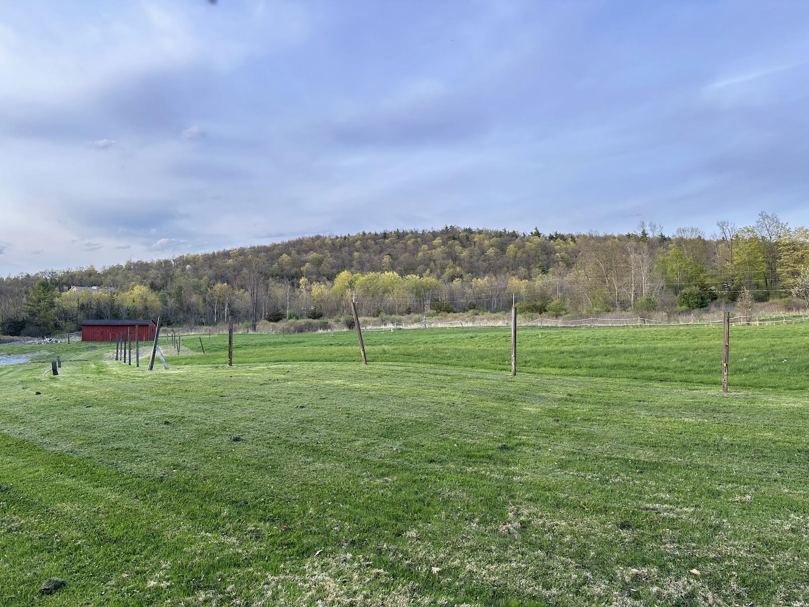341 Turkey Farm Road Benson, VT 05743 - Photo 53 of 60