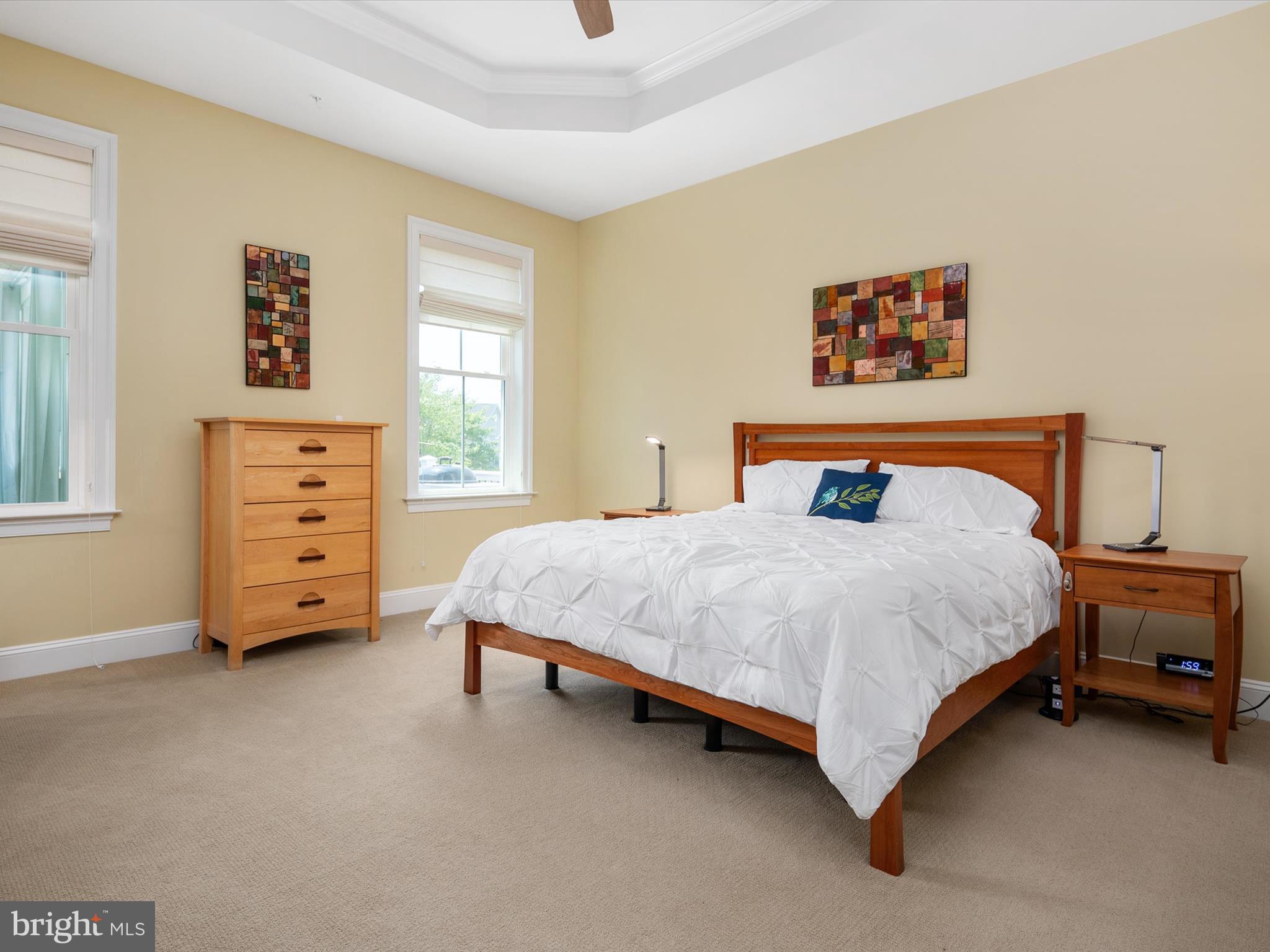 2973 Levee Drive Odenton, MD 21113 - Photo 27 of 69 Main Floor Primary Suite