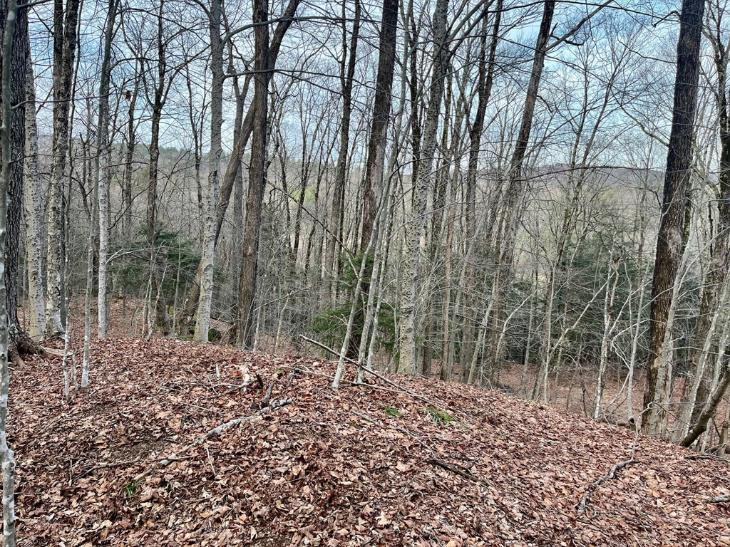 0 Parish Road Worthington, MA 01098 - Photo 11 of 14