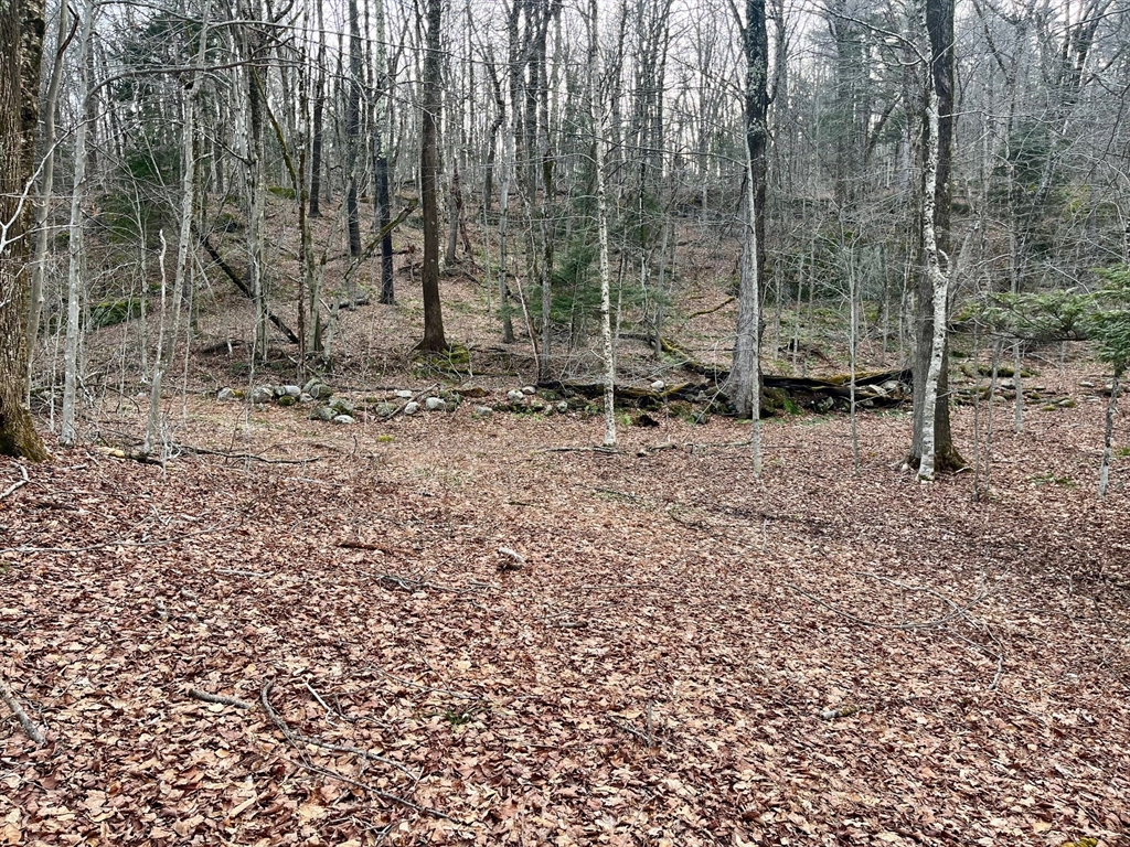 0 Parish Road Worthington, MA 01098 - Photo 13 of 14