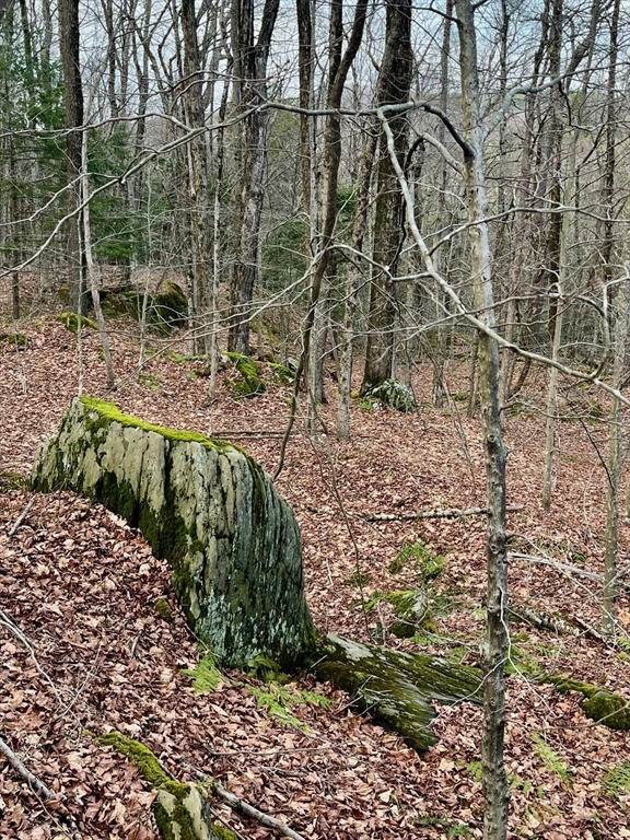 0 Parish Road Worthington, MA 01098 - Photo 14 of 14