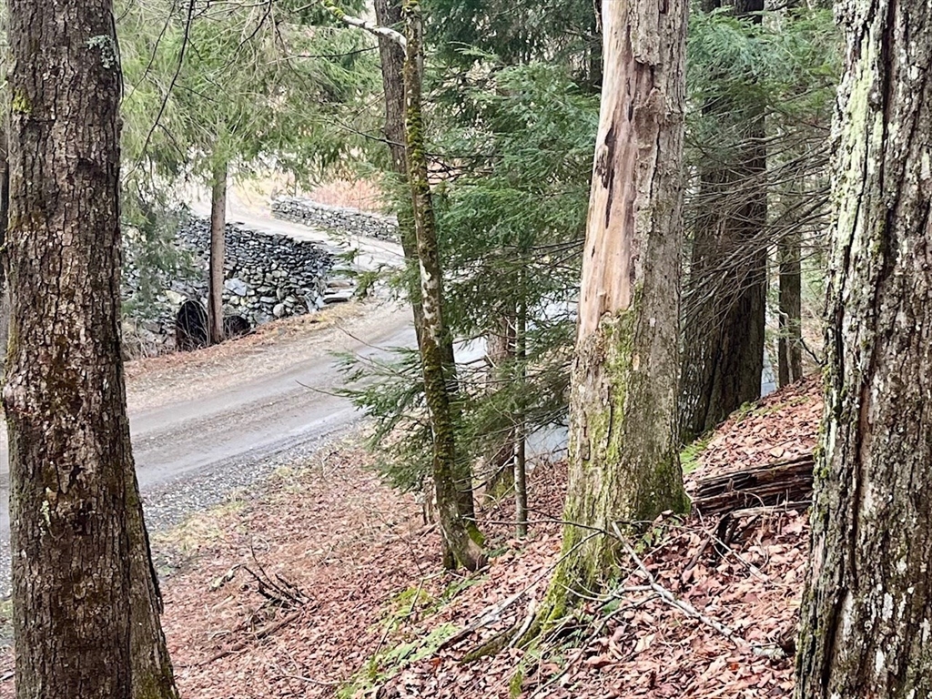 0 Parish Road Worthington, MA 01098 - Photo 3 of 14