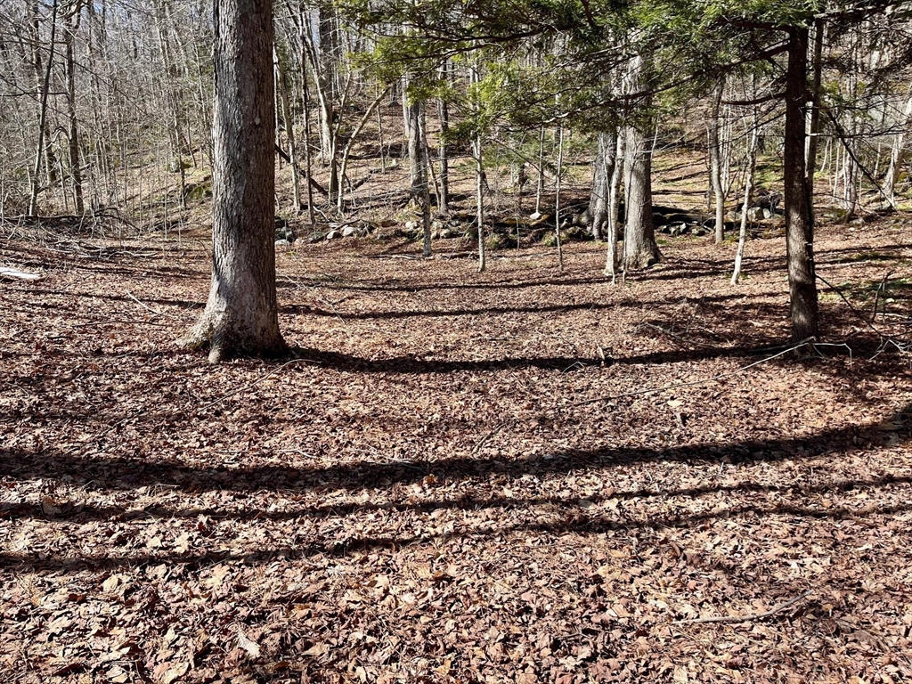 0 Parish Road Worthington, MA 01098 - Photo 5 of 14