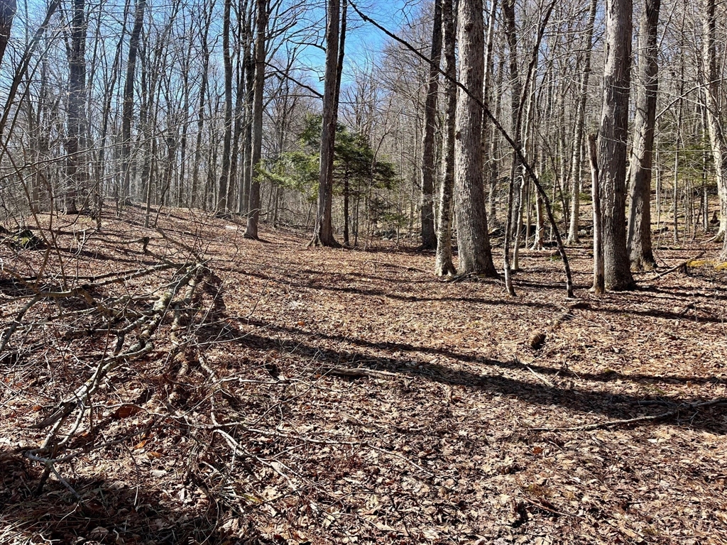 0 Parish Road Worthington, MA 01098 - Photo 6 of 14